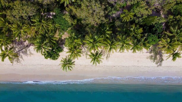 Vista aerea di una spiaggia con palme e acqua cristallina.