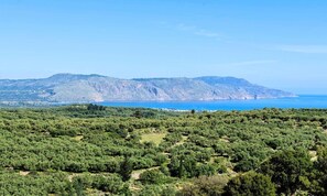 Solsenger og strandhåndklær