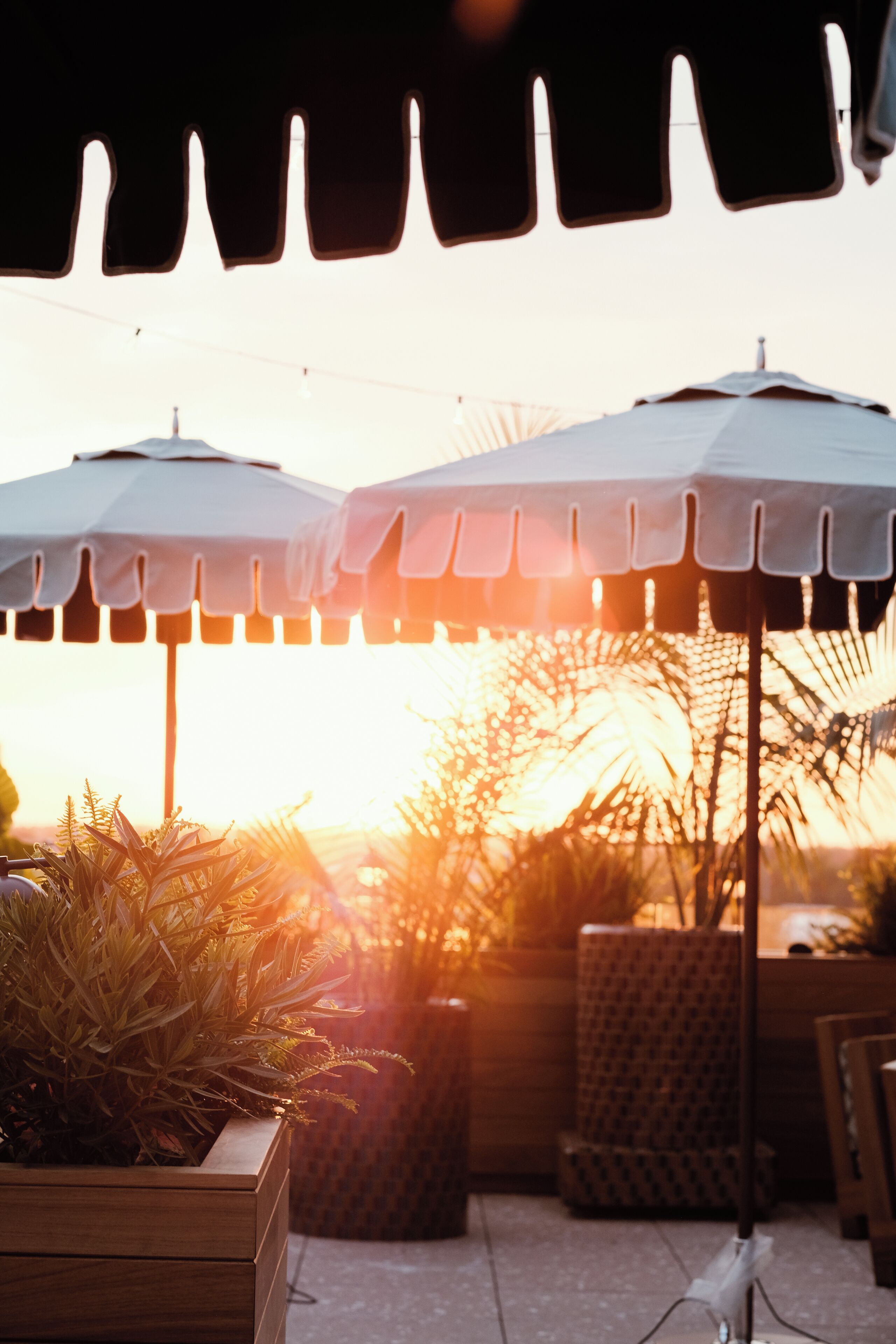 Terraza en la azotea