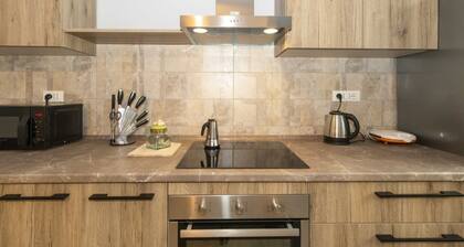 Lingotto Comfy Apartment x6