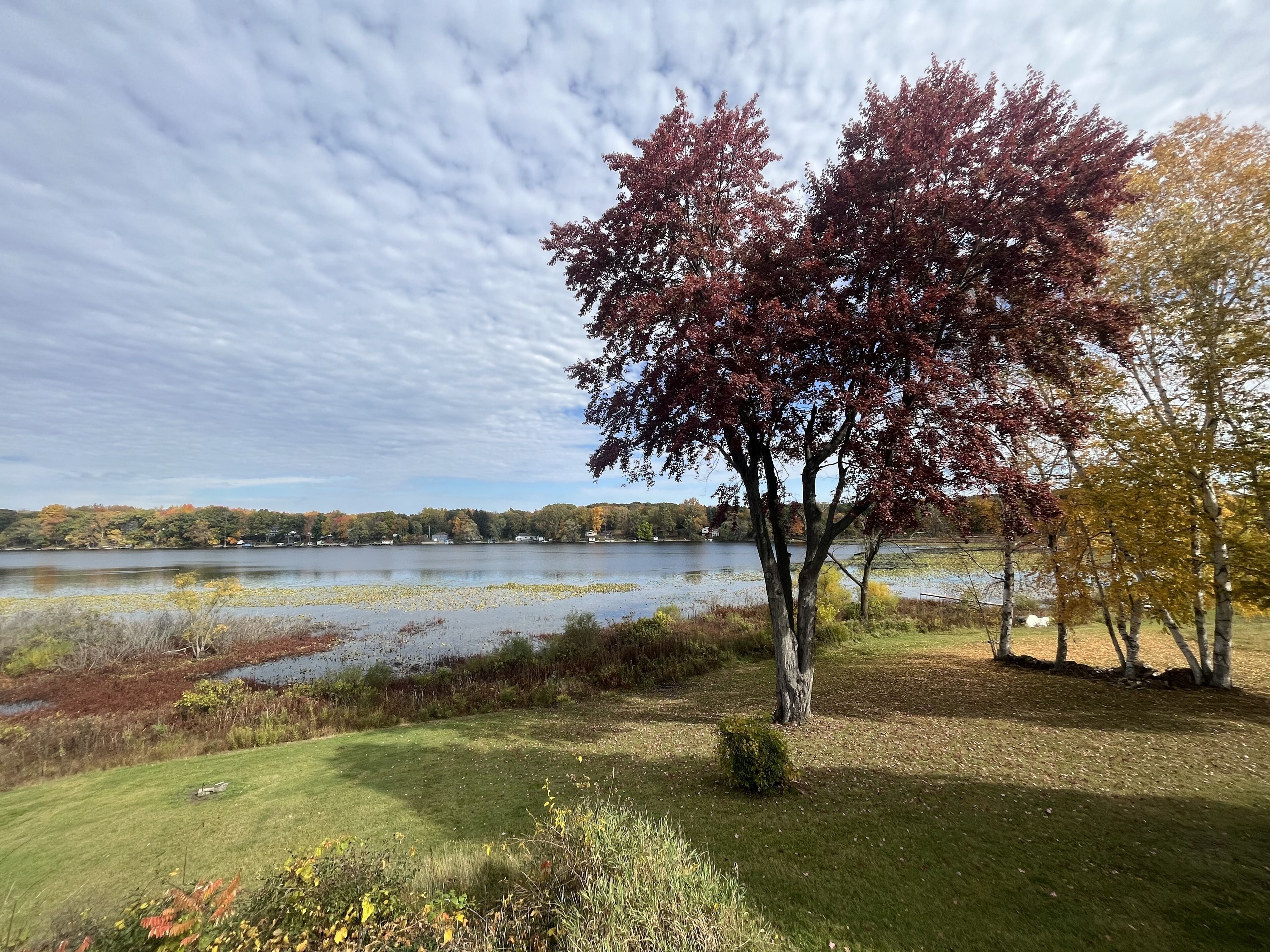 Peaceful & Private Lakefront House on Shelp Lake, hot tub is open year