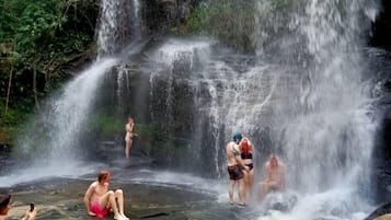 Diversos