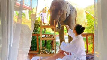 Uitzicht vanuit accommodatie