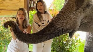 A wooden structure with a thatched roof, a table with a white cloth, and a bouquet of flowers. - The Elephant B&B (Chiangmai)