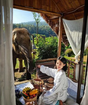 A person sitting on a bed with a table of fruits and a basket of bread, with an elephant in the background. - The Elephant B&B (Chiangmai)