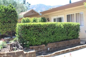 Junior Suite | Terrace/patio