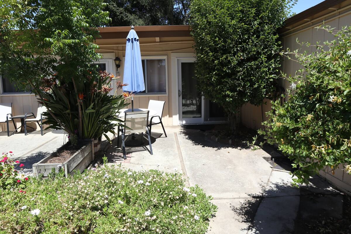 A patio area with a table and chairs, a blue umbrella, and a potted plant.