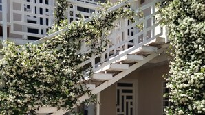 Una scala conduce a un edificio con ringhiera bianca, circondato da cespugli fioriti.