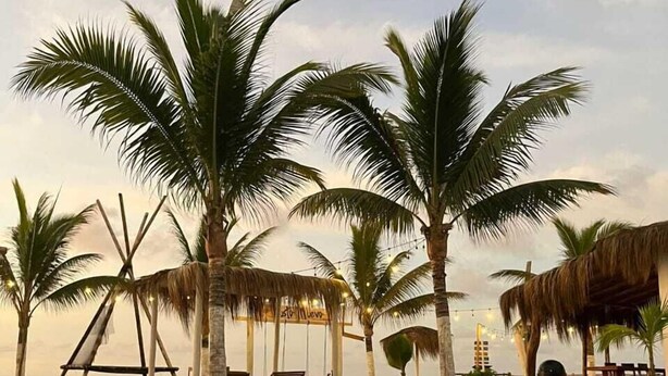 Zona de piscina con palmeras, un columpio y una estructura de techo de paja.