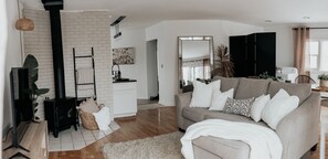 Smart TV, lareira, videogames, livros