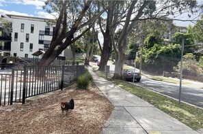 Stroll along the tree-lined street, surrounded by a charming neighborhood.