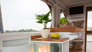 A cozy room with a window, a plant, a TV, and a fireplace. - Fully-Equipped Boat 'Lisa' with Terraces (Priepert)