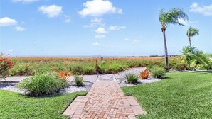 A paved pathway leading to a beach with palm trees and a clear sky.