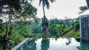 Two Bedroom Private Pool Villa with Valley View | Utsikt från rummet