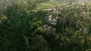 A tropical resort with lush greenery, palm trees, and terraced rice fields in the background. - LeRosa Valley Resort (Ubud)