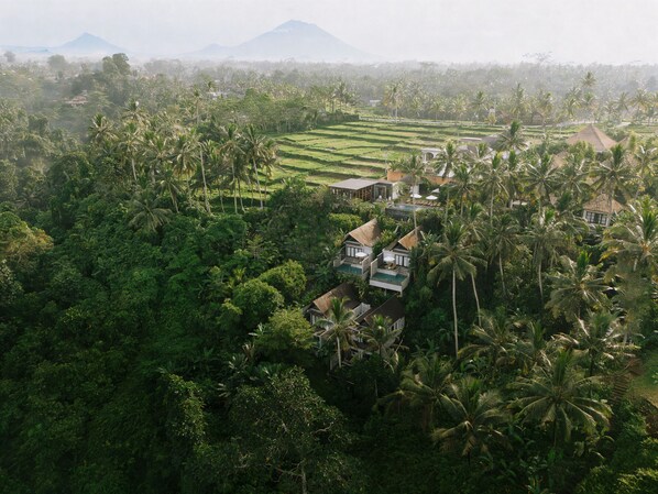 A tropical resort with lush greenery, palm trees, and terraced rice fields in the background. - LeRosa Valley Resort (Ubud)