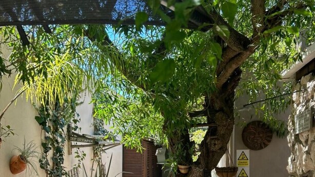 Property grounds - Cozy Crner, home away from home, near from pristine beaches num2 (Langebaan)