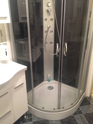 Shower, hair dryer, towels