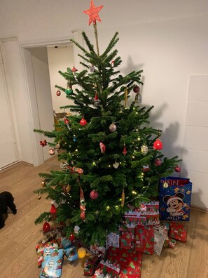 Interior - Quiet single bedroom in the centre of Zagreb (Zagreb)