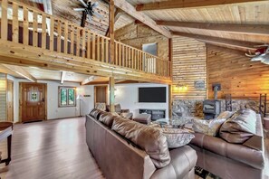 TV connectée, cheminée, lecteur de DVD, livres