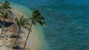 A beach with palm trees and clear blue water.