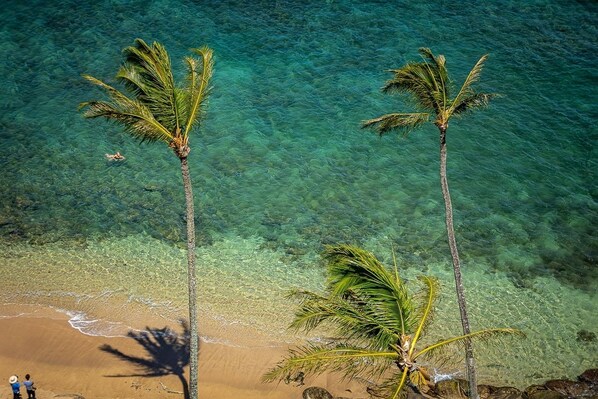 Appart'hôtel, 1 chambre | Enceinte de l’hébergement