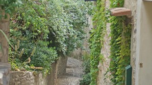 Une ruelle étroite pavée, bordée d’une végétation luxuriante et de murs de pierre, avec une lanterne suspendue et une petite plante en pot, que l  ’on peut apercevoir.