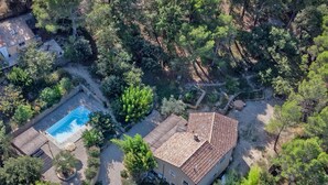 Vue aérienne d’une maison avec une piscine, entourée d’arbres denses et d’une végétation luxuriante.