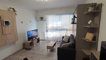 TV connectée, lecteur de DVD, livres