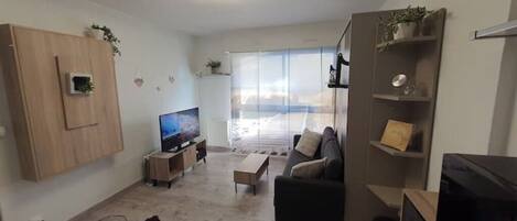 スマートテレビ、DVD プレーヤー、書庫