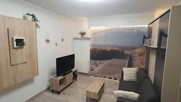 TV connectée, lecteur de DVD, livres