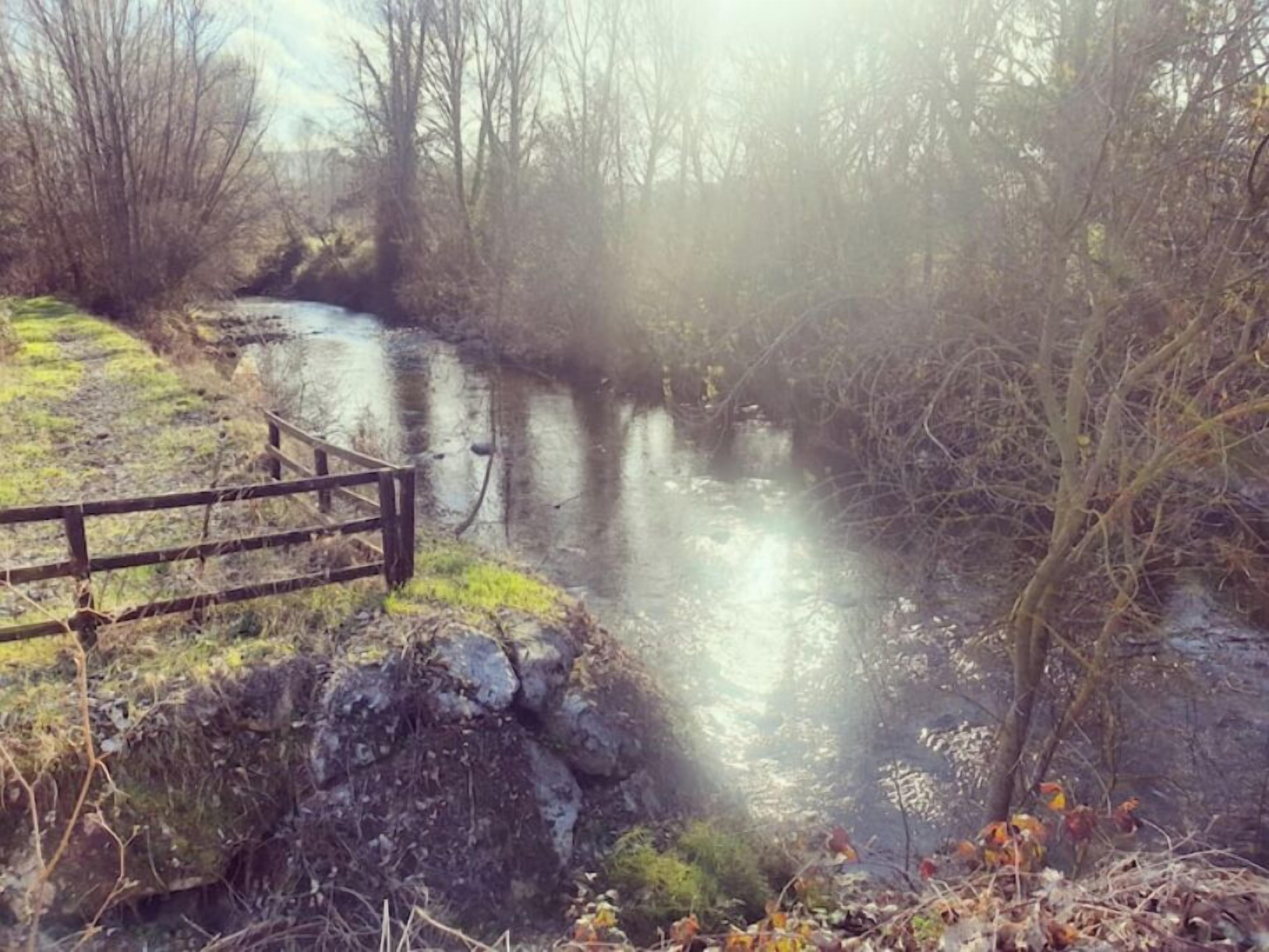A river with a wooden bridge and surrounding trees.
