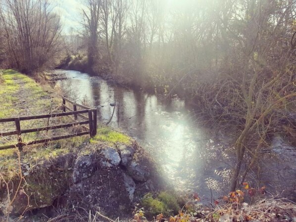 A river with a wooden bridge and surrounding trees.