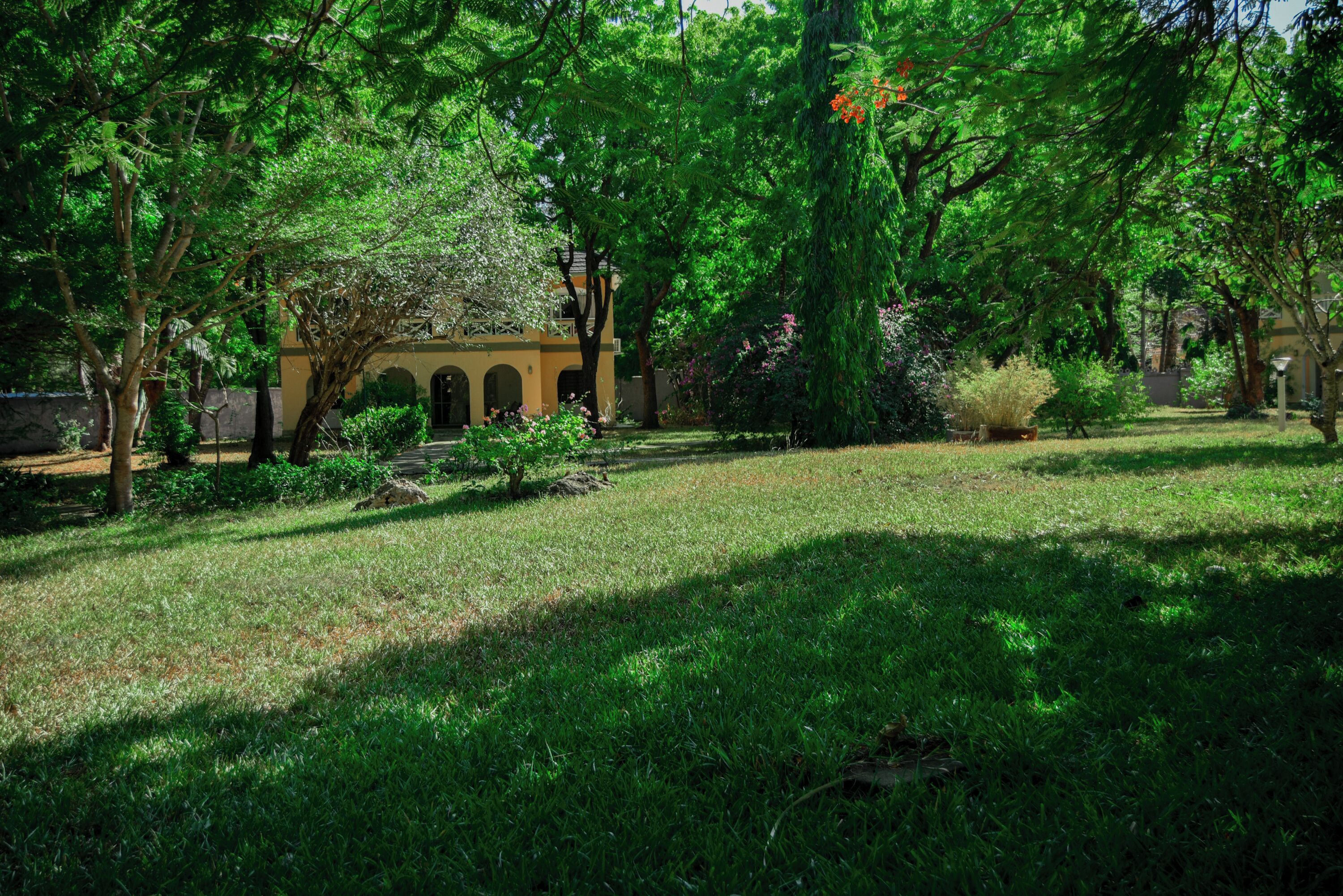 Foto - Coral Beach Resort