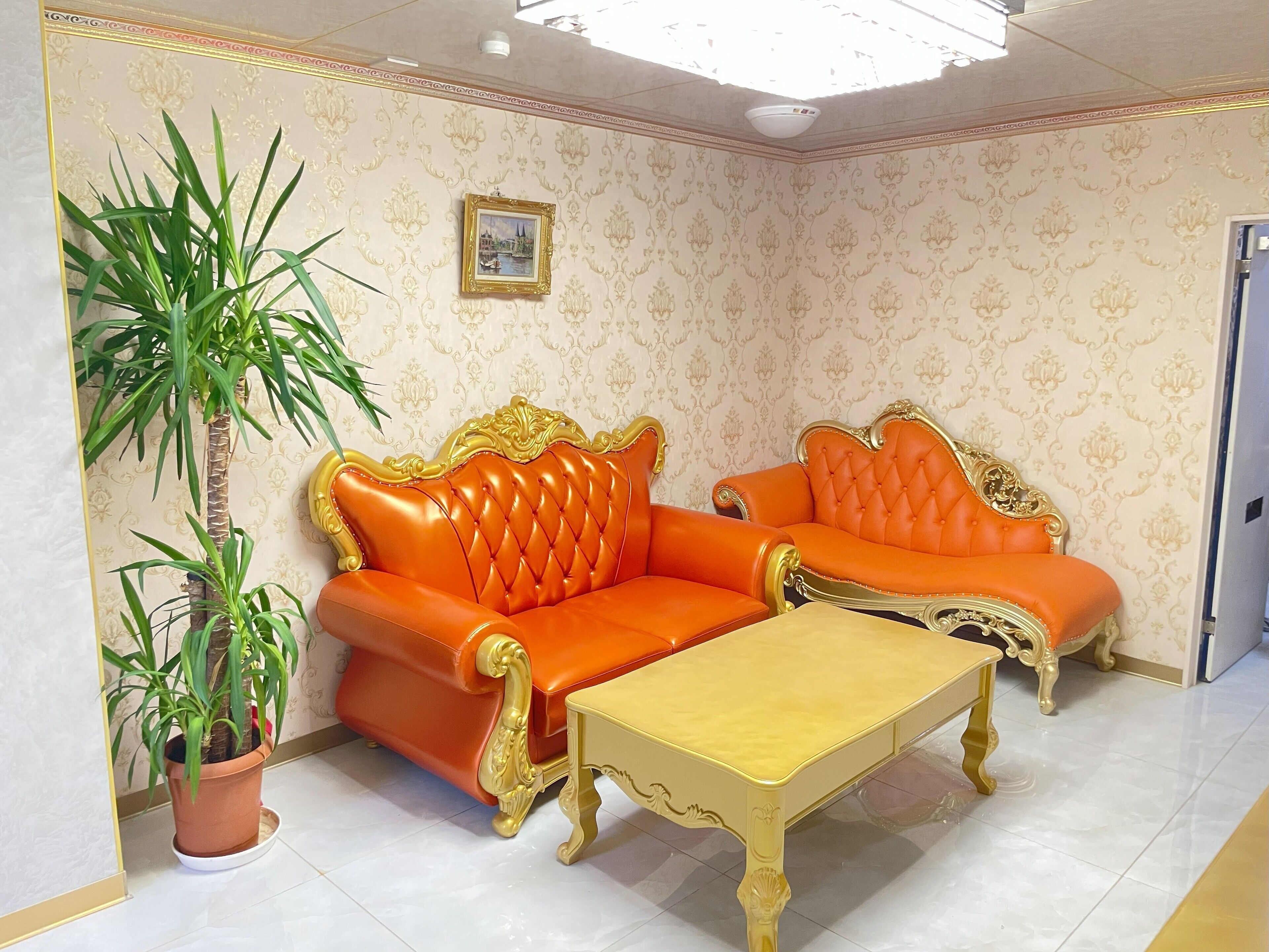 Una habitación con dos sofás anaranjados con adornos dorados, una mesa de centro amarilla y una planta en maceta.