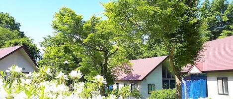 Overnattingsstedets uteområder