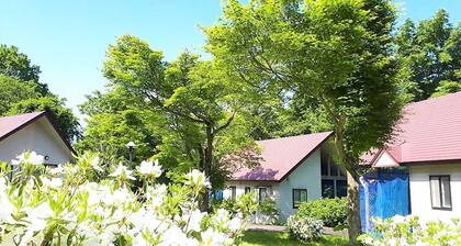 Standard 4 Winter Version Spring is not far away / Iwate County Iwate