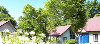 Standard 4 Winter Version Spring is not far away / Iwate County Iwate