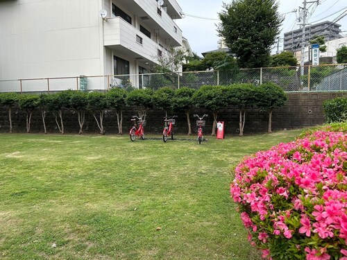 Alpier B202 whole room for rent / Kumamoto Kumamoto