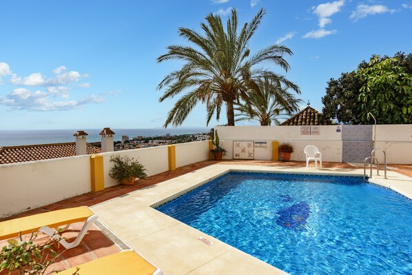 Relax by the serene pool surrounded by a well-maintained patio and a palm tree, with a clear view of the sea.