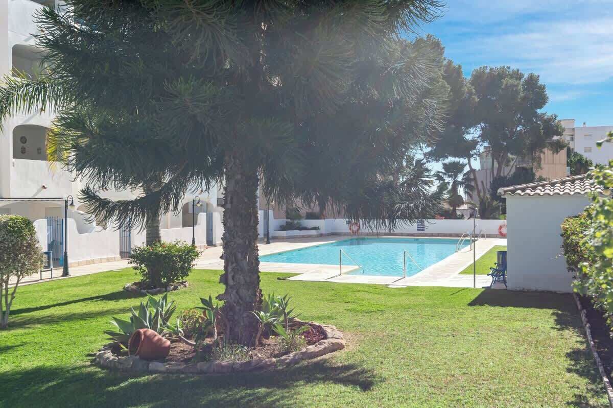 A pool area with a palm tree, a small garden, and a building in the background.