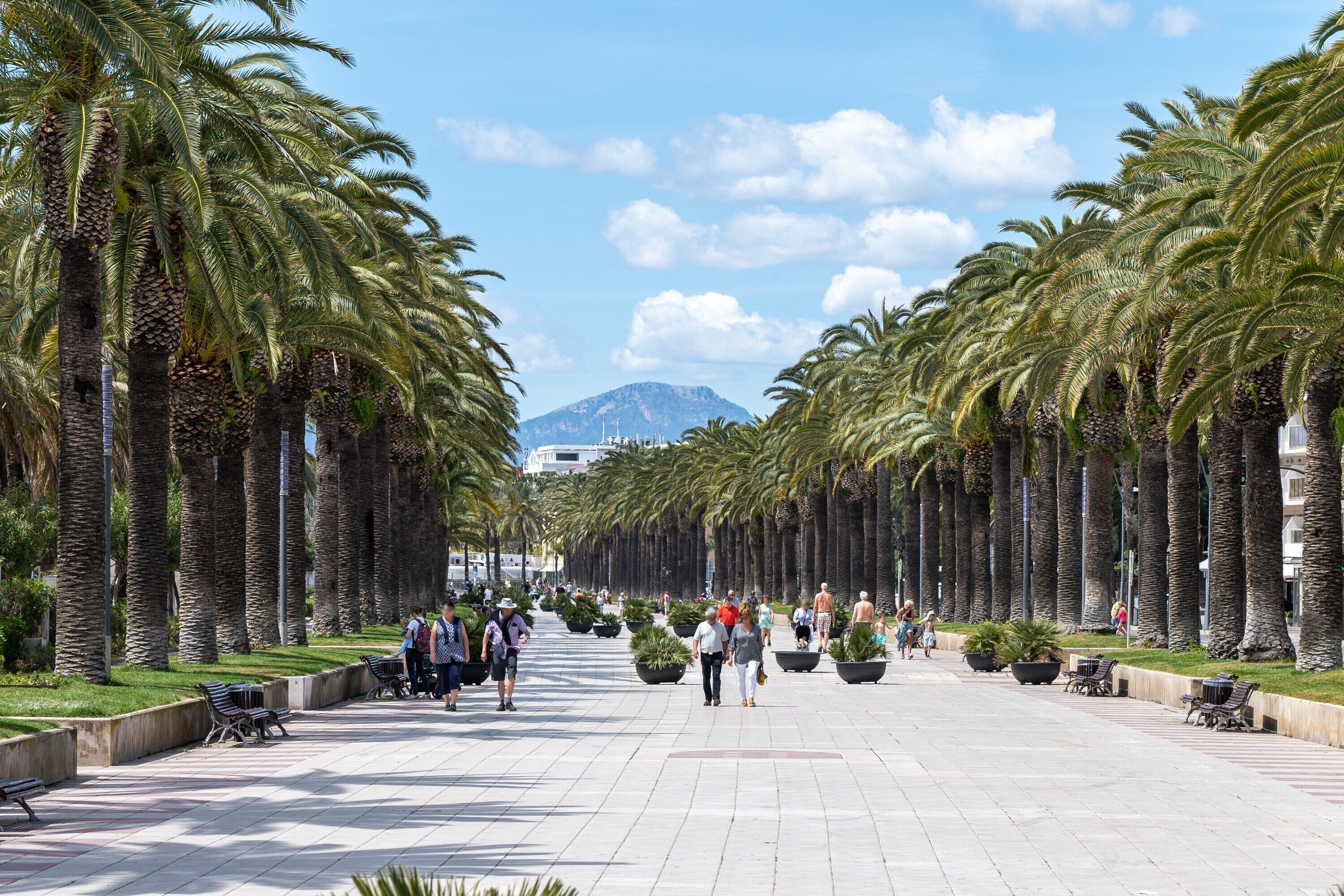 A wide pedestrian walkway lined with palm trees and benches, with people walking and sitting.