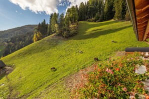Property grounds - Apartment "Oberhof Panorama" with Mountain View, Balcony & Wi-Fi (Vallarga)