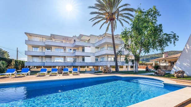 Un hôtel moderne doté d’une piscine, de chaises longues bleues et d’un palmier.