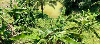 Felcordz Nature Farm and Resort