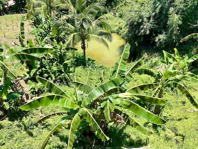 Felcordz Nature Farm and Resort