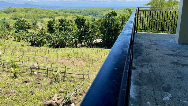 Ein Balkon mit Blick auf eine üppige grüne Landschaft, darunter Bäume und Hügel.