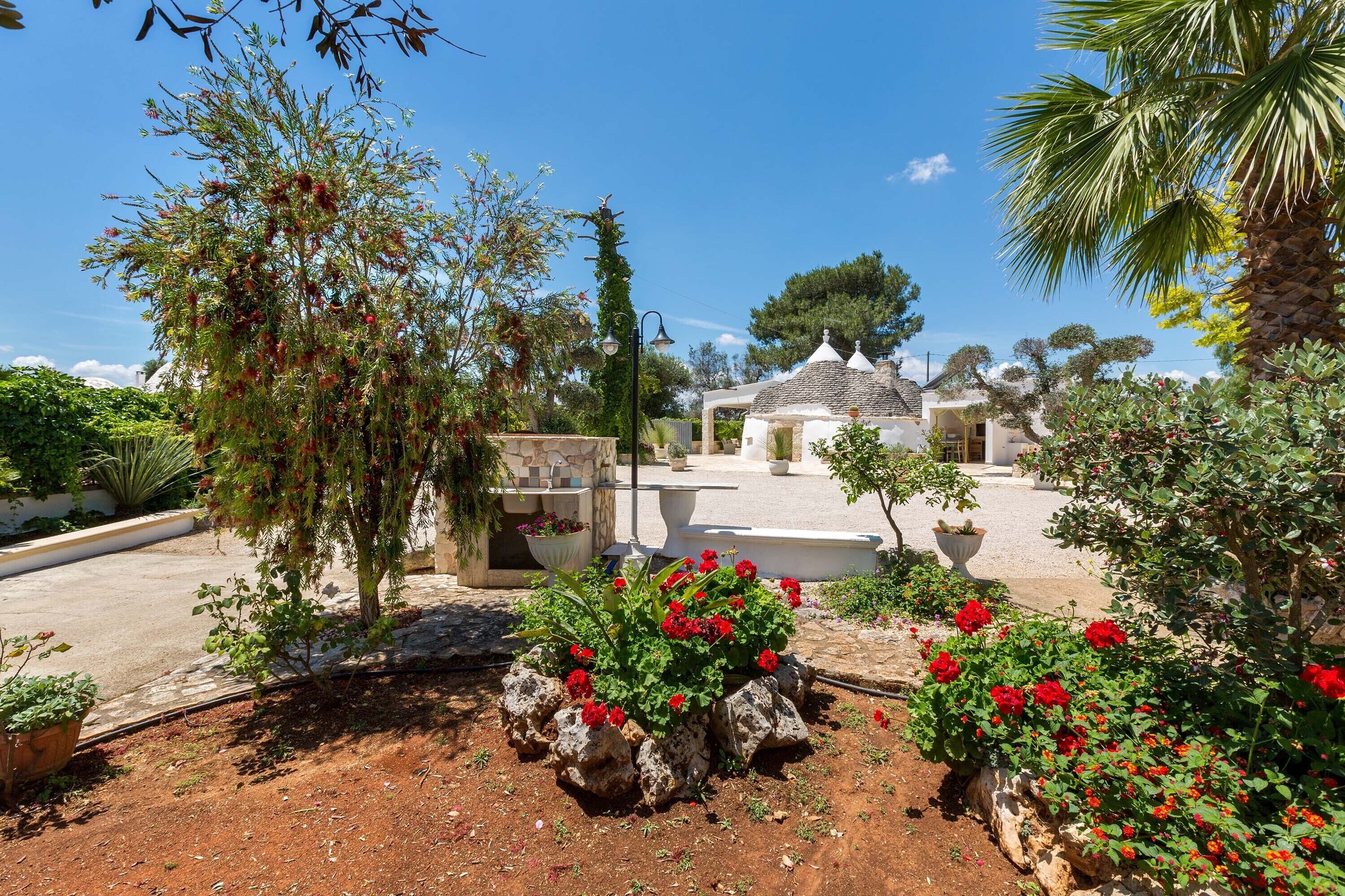 A garden with red flowers, a white building, and a palm tree.
