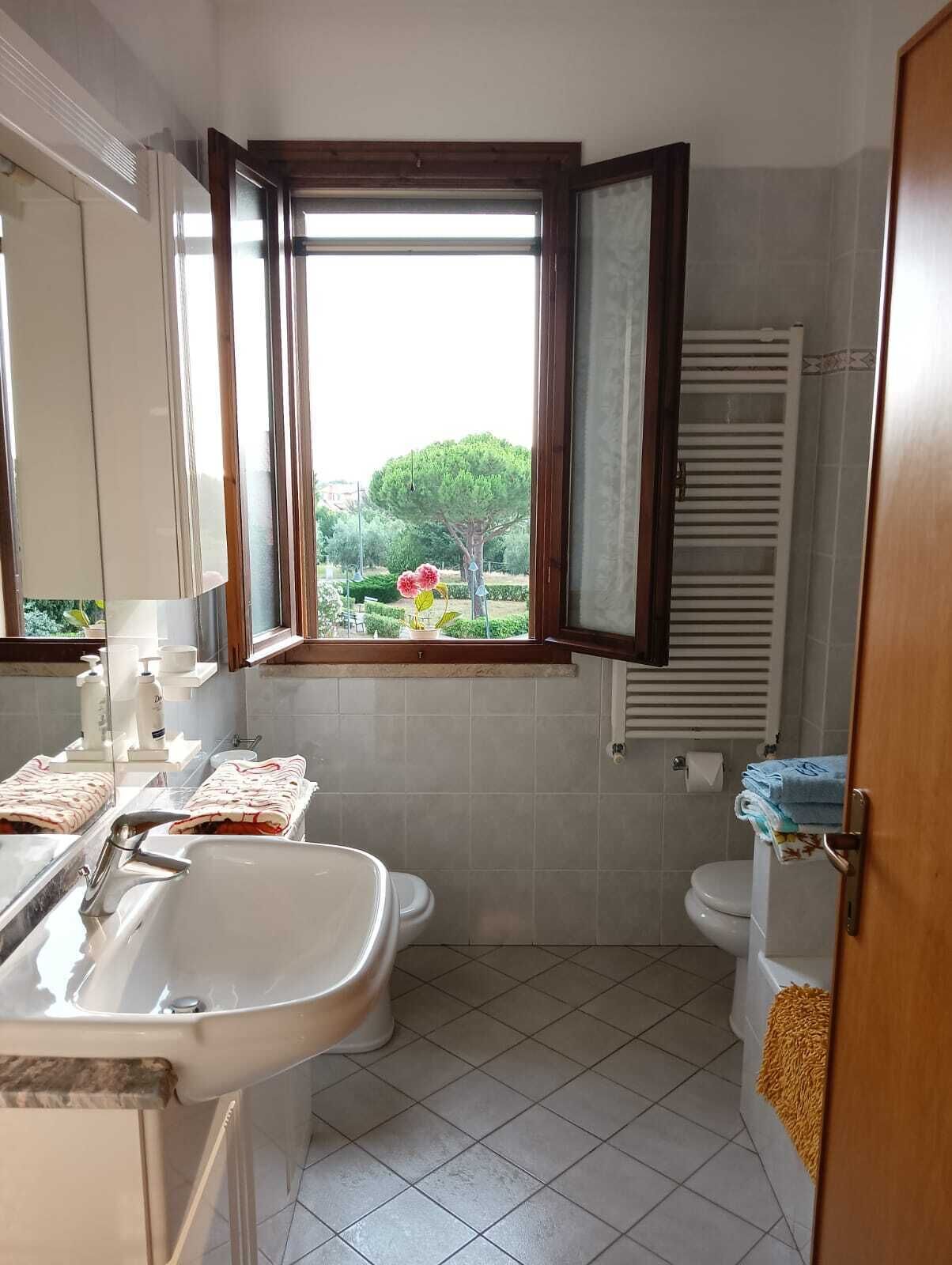 Haartrockner, Bidet, Handtücher, Toilettenpapier