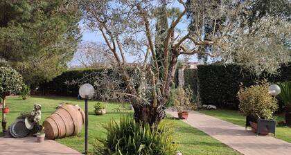 Villa Zara